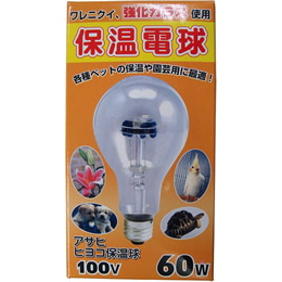 保温電球(ヒヨコ電球)60W(硬質ガラス)