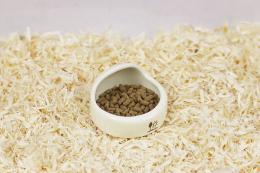 小動物のまいにち食器　ラウンド　S