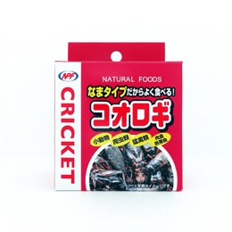 NPF　コオロギ缶詰 40g