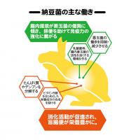 【ネット通販厳禁】【生体取扱店限定】　ラビット・プライムプラス　メンテナンス　3kg　