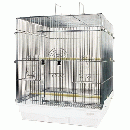 465インコ　G　新価格