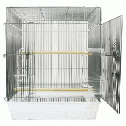 465インコ　G　新価格