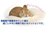 ★らくサポ　あんしんU字ピロー　D05(メーカー廃番)在庫限り