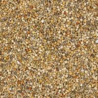 NPF　エクセル　皮付きの食事　600g　【リニューアル品】