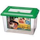 飼育ケース　パノラマ　大　6個入り(ケース販売のみ)