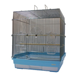 465インコ　G　新価格