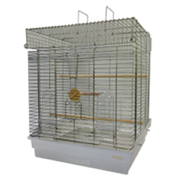 465オカメインコ　新価格