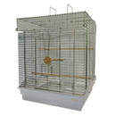 465オカメインコ　新価格