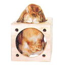 KAWAI  キューブハウス(メーカー欠品中)